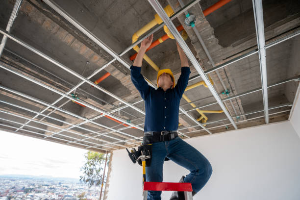Best Best Plumbers Near Me  in Wahneta, FL