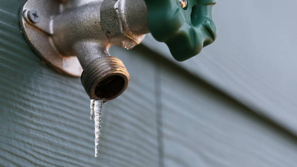 Best Emergency Plumber  in Wahneta, FL